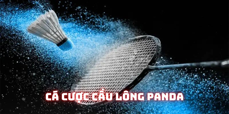 Sản phẩm cầu lông thú vị