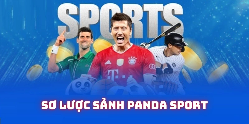 Thông tin chung về sảnh Panda Sport đẳng cấp
